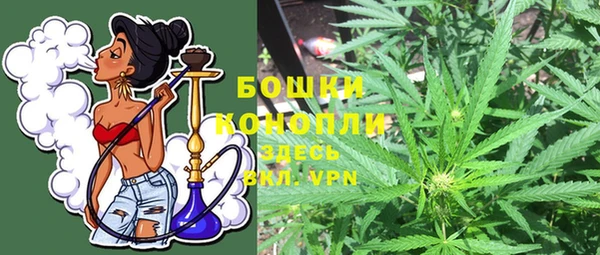 трава Арсеньев