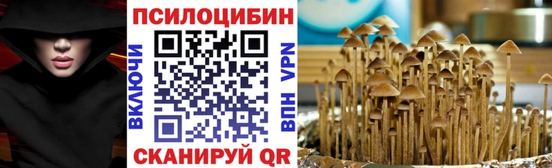 купить   Суворов  Галлюциногенные грибы MAGIC MUSHROOMS 